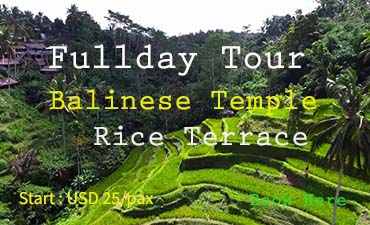 balinese temple tours